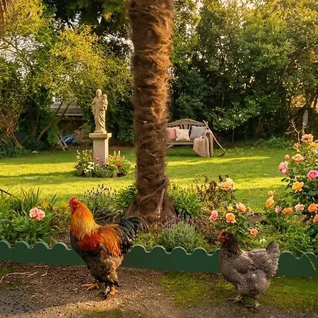 La Misericorde-maxi 1famille For4